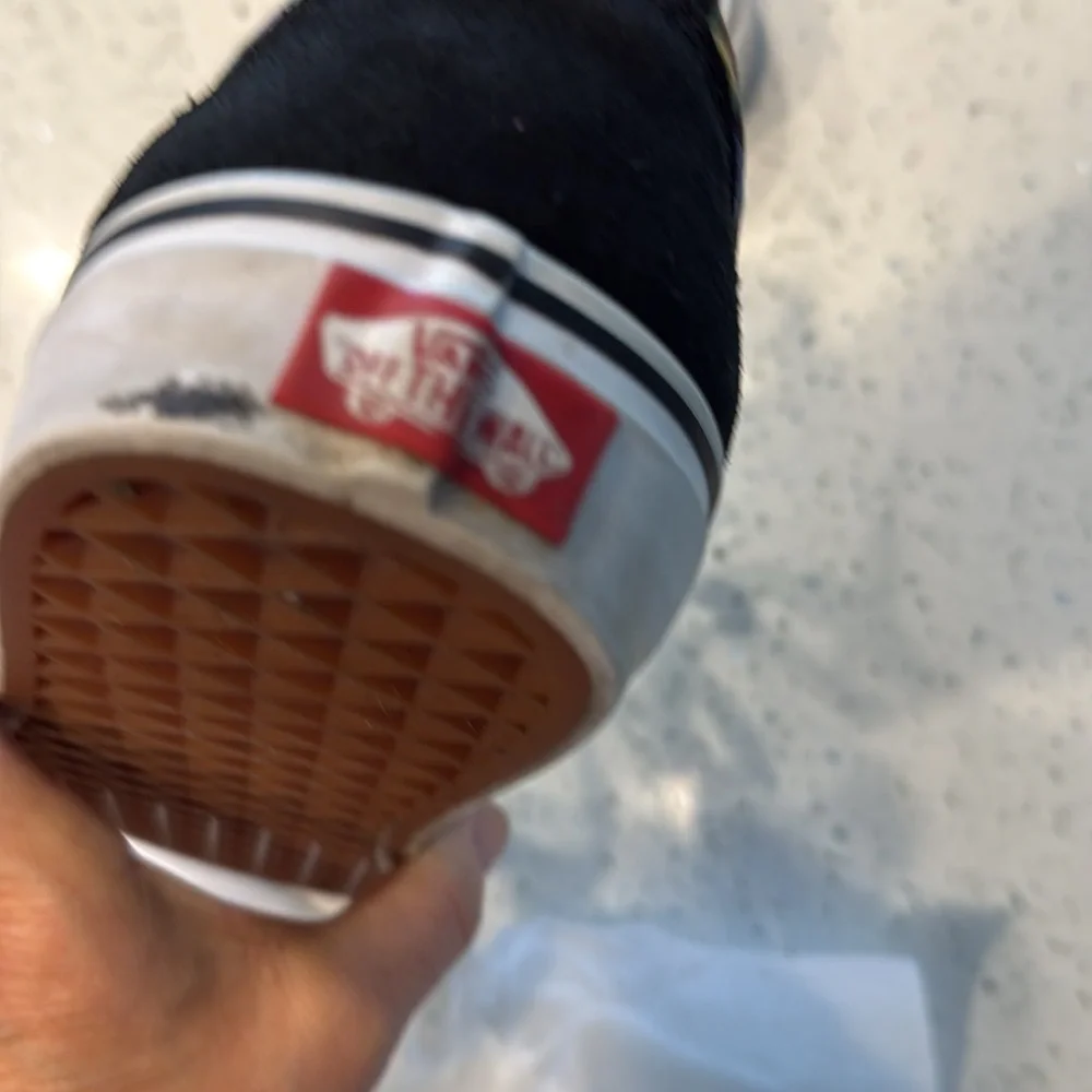 Vans Black and Multicolor Checkered Sneakers - Picture 4 of 5